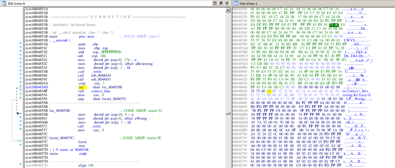 Hex view before patching